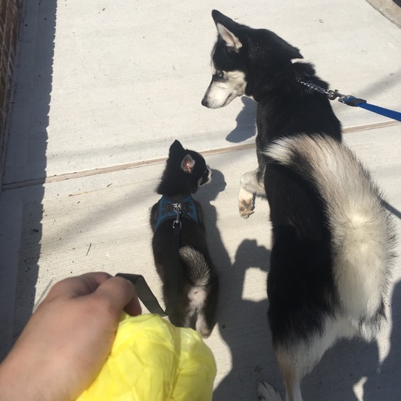 Hi everyone! I’m Linda! - Picture 4 of 8